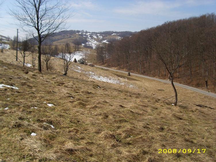 Teren intravilan Rosia, 12 000 mp, cu proiect aprobat. Comision 0. - 12