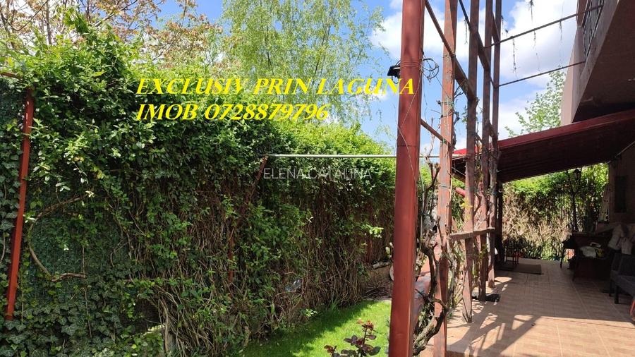 Vila spatioasa P+ 1+ POD locuibil ,Otopeni-23 August Hotel Aviator - 15