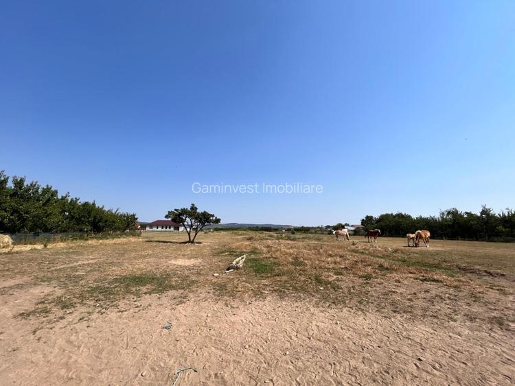 Parcele de teren intravilan de vanzare Fughiu, Bihor - 3