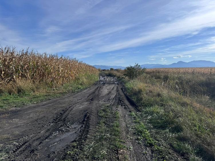 Teren de vanzare in Harman 4,4 Hectare - 3