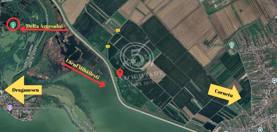 Teren intravilan, Cornetu, Ilfov – 4.400 mp - 3