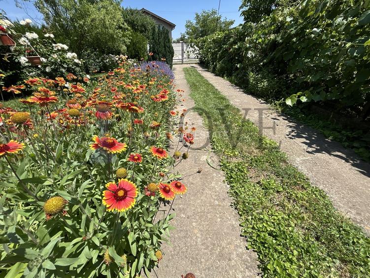 BELCIUGATELE- Casă de vacanță sau locuință permanentă - 36