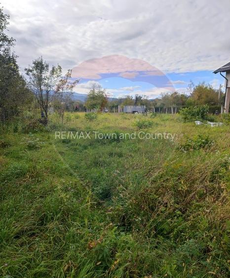 Teren 1,100mp Sighetu Marmatiei / Strada Primăverii - 5