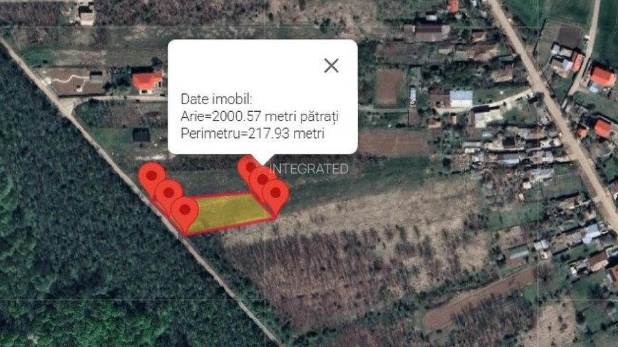 Teren intravilan 2000 mp,  Silistea Snagovului - Front PADURE( 38 ml Front  - 5