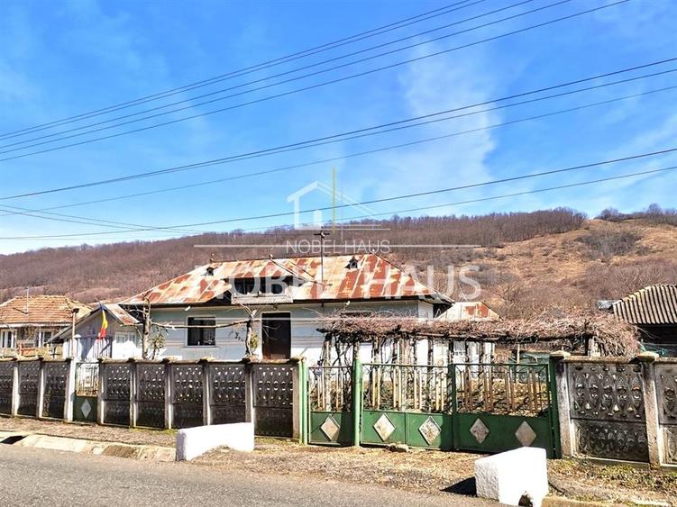 Casa, teren si padure, in sat Siscani, jud Vaslui - 16