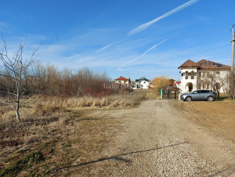 Loc de casa cu utilitati, 944mp cu 29m deschidere, Ciofliceni - Snagov! - 3