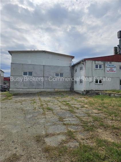 Proprietate Industriala - Productie - Industrie Alimentara - 4