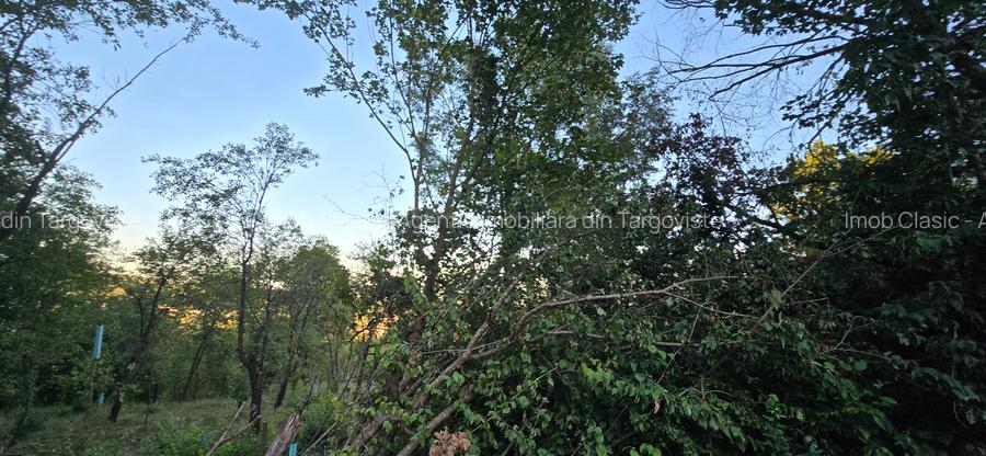 Moreni , Dambovita , vanzare proprietate -casa si teren - 2