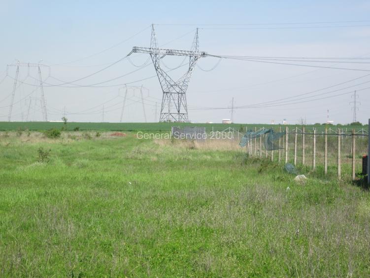 Domnesti-Crengutei - 12