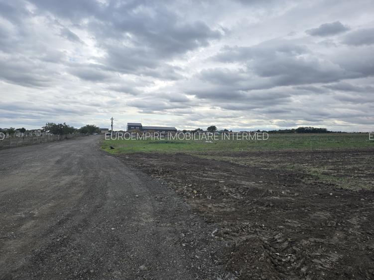 Teren de vanzare in Ovidiu - 6