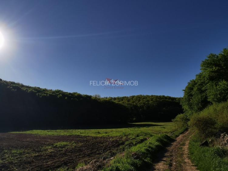 Teren la vanzare in Dej,cartier Viile Dejului - 10