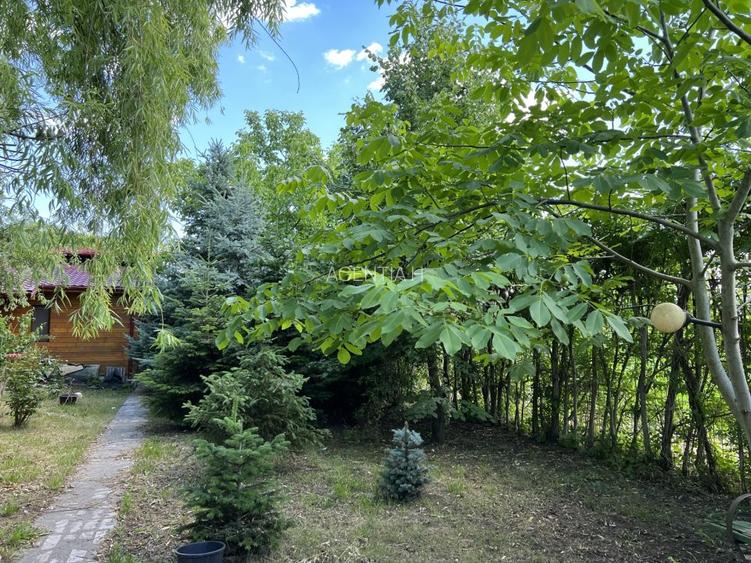 Casa-langa studiourile Buftea, 2 constructii, curte cu pomi, 2300mp, langa lac - 3