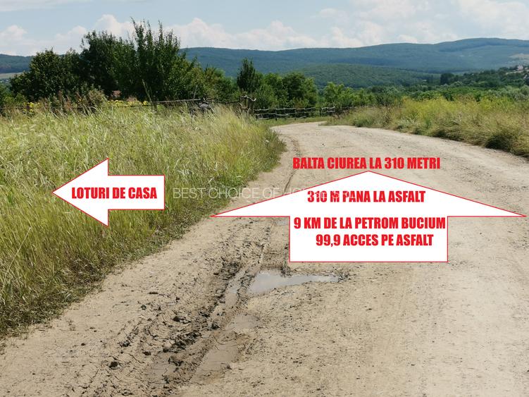 BUCIUM , 6 KM DIN IASI , teren perfect plan , 99.999 % acces pe asfalt - 8