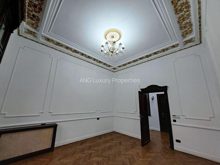 VILA ISTORICA GRADINA ICOANEI - UNIVERSITATE - 2