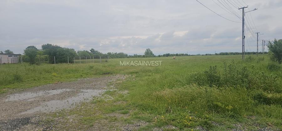 Teren intravilan Colacu, Dâmbovița –  | Utilități | Drum asfaltat, Comision 0 - 3