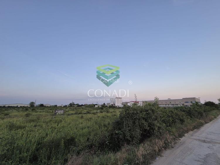 Teren industrial de vânzare în Clinceni – 23.943 mp | Lângă Centura - 3