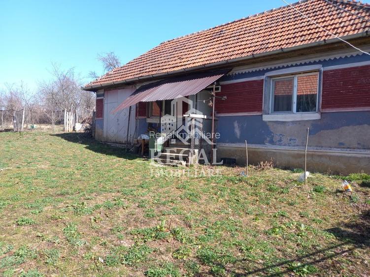 Două case de vânzare – Cerisor – teren generos 6996 mp - 8