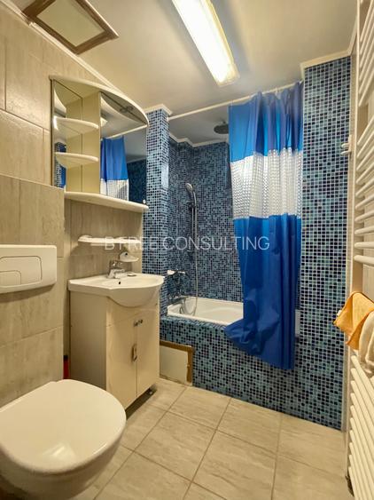 Apartament de 2 camere spre inchiriat Cismigiu-Calea Plevnei - 14