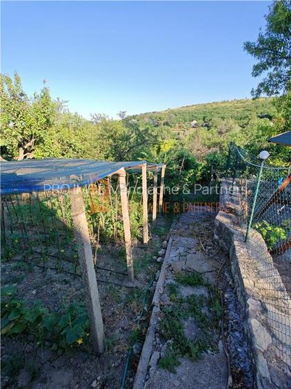 EXCLUSIVITATE! Casa+teren si cabana de lemn zona Naeni - 26