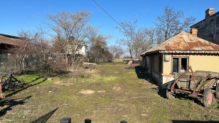 Teren intravilan Dărăști Vlasca 4700mp, intre case, toate utilitatile - 2