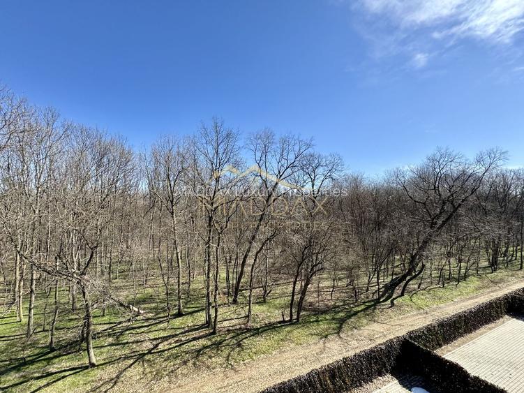 Apartament cu 4 camere *183mp* - Prima Inchiriere // Stejarii - Baneasa - 31