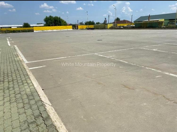 Pecica, 12000 mp platforma, inchiriere lunga durata, - 3