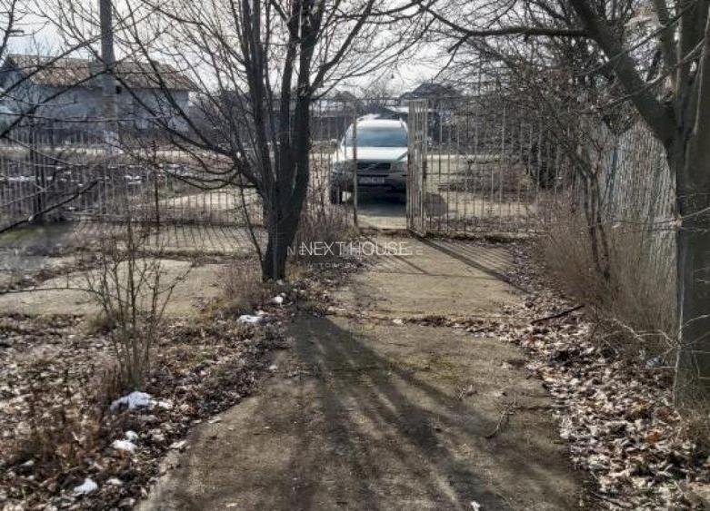 Teren la 35 km de Bucuresti - Izvorani - Ciolpani - 4