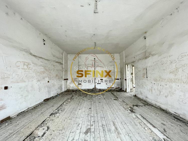 Casa Nicolau, sec XIX, 3000 mp teren - 8