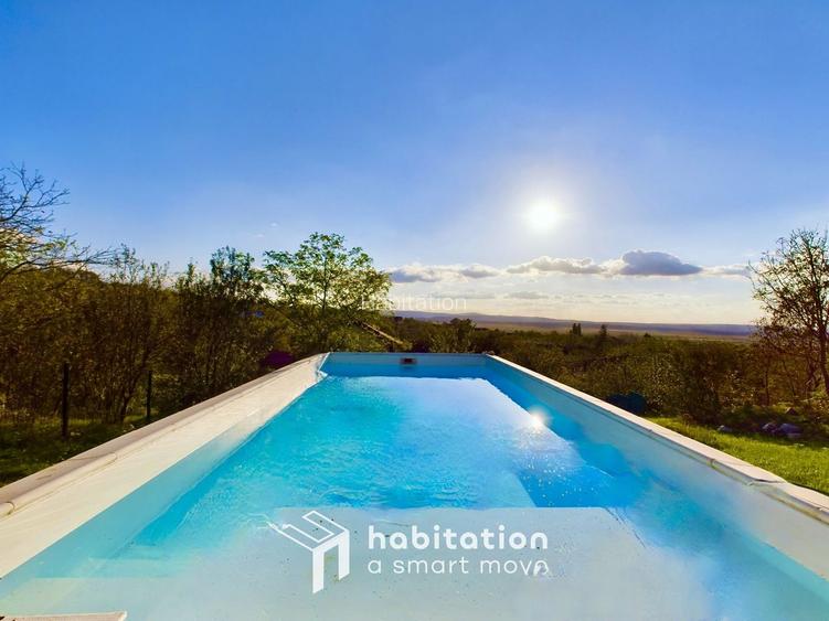 Casă cu 4 dormitoare + piscină în Socolari – ideală pentru investiție - 22