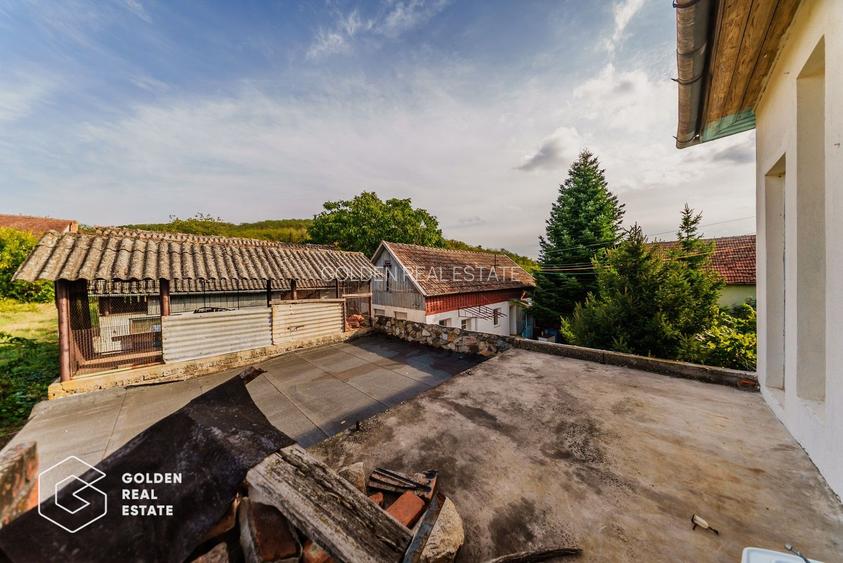 Vila superba, P+E,  Cuvin, 9 camere, 200 mp si teren 1300 mp plus anexa 3 camere - 37