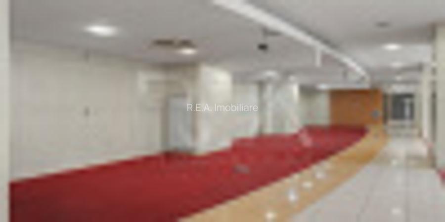 Inchiriere Spatiu Comercial - Sos. Pantelimon 1085 mp - 4