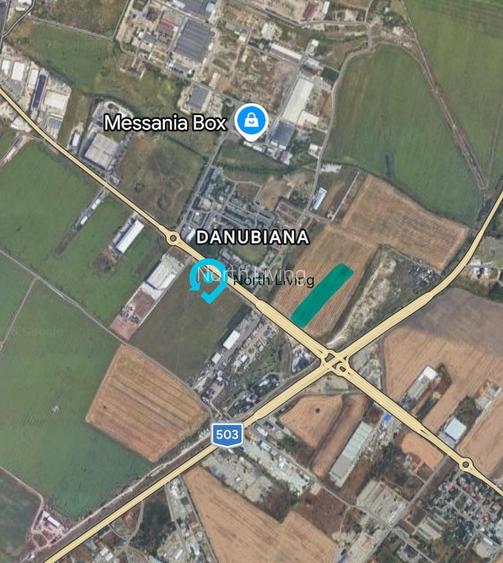 Teren 16,500mp Popesti-Leordeni / Soseaua Oltenitei  / Danubiana - 3