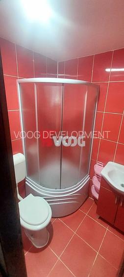 Apartament 1 camera -zona Badea Cartan-Parter - 5