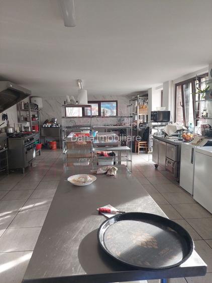 CASĂ\VILĂ DE VÂNZARE \COM. OBREJA\SAT IAZ\CARAȘ-SEVERIN - 22