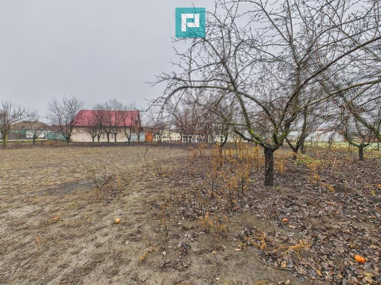 Casă frumoasă la Iratoș la preț bun - 33