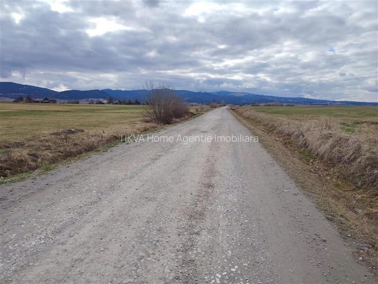 Teren intravilan in Sineu, com. Remetea - 4