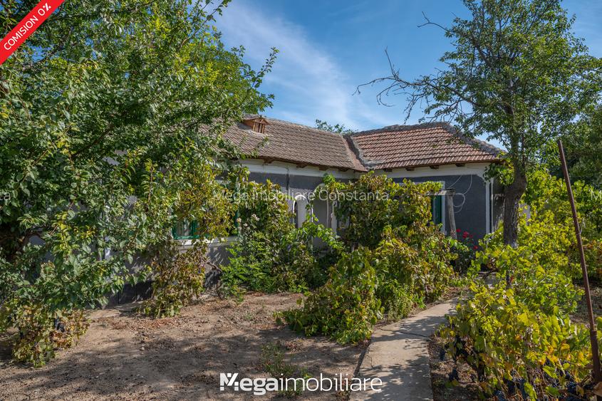 ✅ Stradă asfaltată: O oază de liniște la doar 20 minute de Constanța - 12