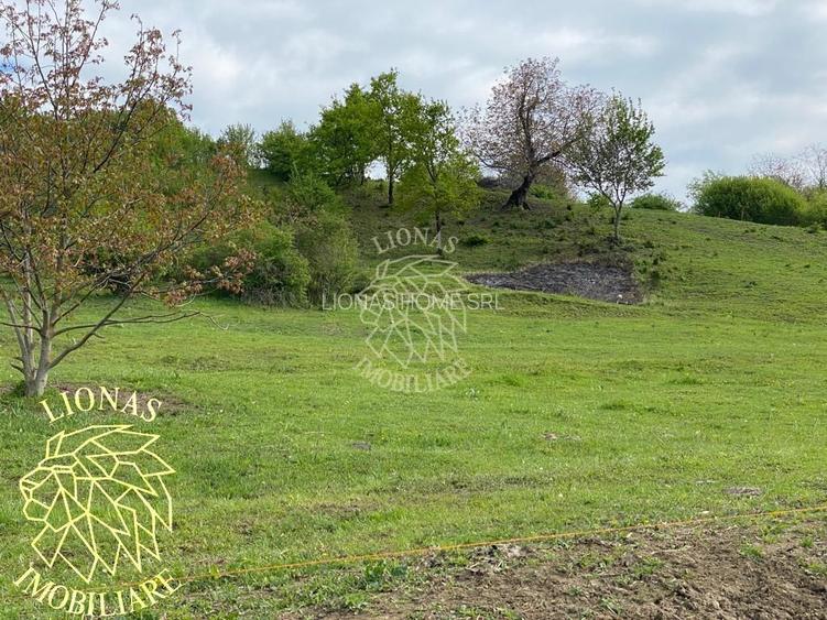 Teren Extravilan - Ghinda - 3.5000mp-Parcelabil - 4