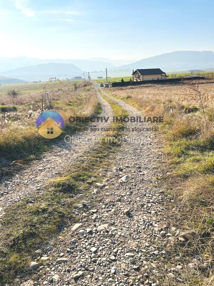 TEREN intravilan  comuna GARCINA - 8