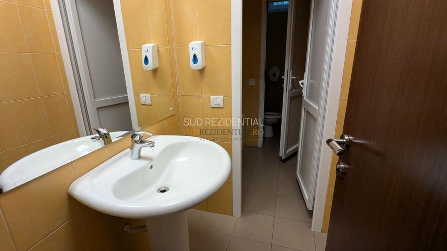 Vanzare cladire de birouri+hala de productie, Dr.Lunca Cetatii, Sect.3 - 11