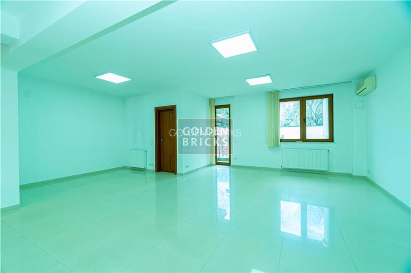 Piata Victoriei | Parter si etaj in vila | Garaj | 160mp - 7