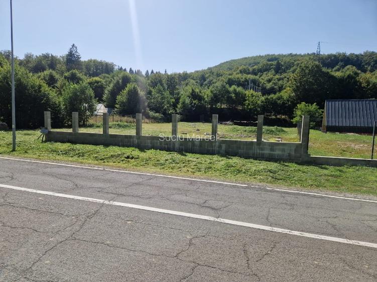 Vând teren extravilan Transfăgărășan  - 4