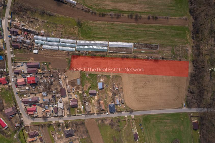 NUCI - BALTA NEAGRA, LOT 3080 MP, LA PADURE! - 6