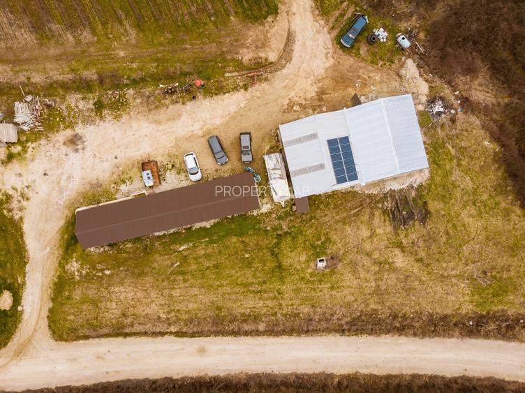 Vie de 115 Hectare în satul Dud, județul Arad - 7