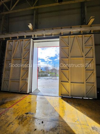 Hale depozit-productie industriala la 20 km de TM - 8