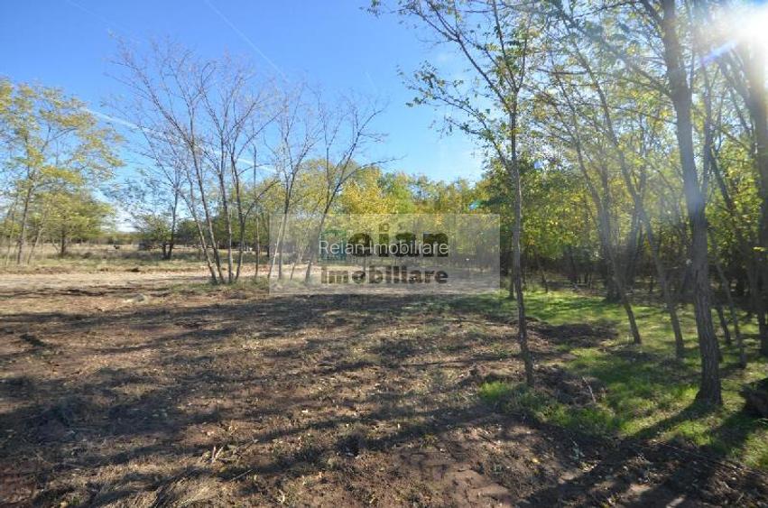 Snagov Ciofliceni Mânastire- Teren 1432 Mp, D 60 M, Curent Gaze Asfalt - 5