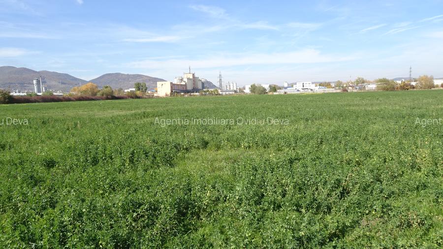 Vand teren intravilan in Deva suprafata totala 43 000 mp, zona Auchan - 5