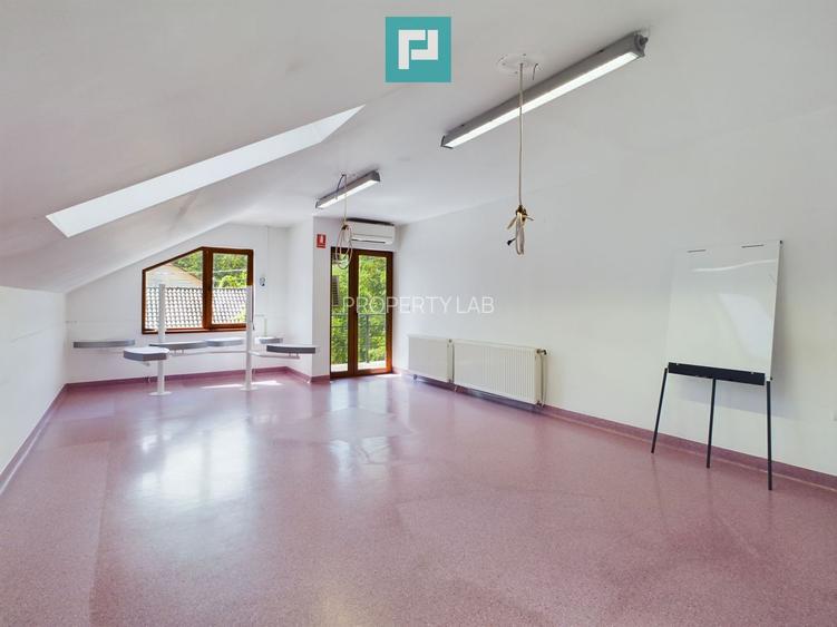 Spațiu comercial de 325mp ultracentral - 10