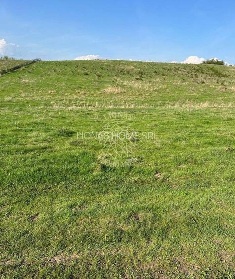 Teren 3300 mp-investitie, case de vacanta, agricultura-Valea Sigmirului - 3