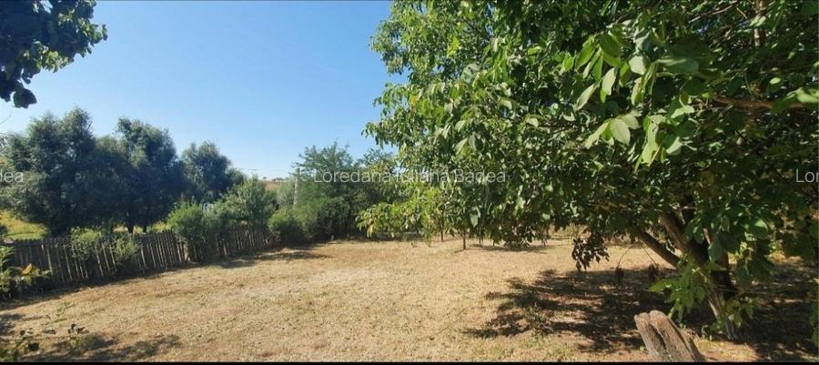 Case comuna Verbița + teren + livada pruni - 7